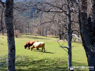 Molinos Hiruela; licencia montaña; senderismo cerca de madrid; grupo de senderismo;marcha de san se